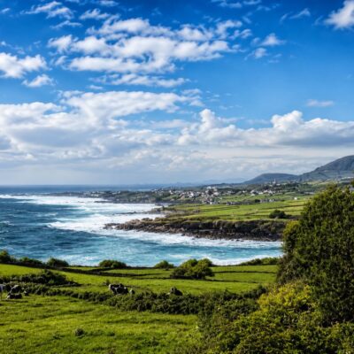 Paisagem costeira com campos verdes e vacas