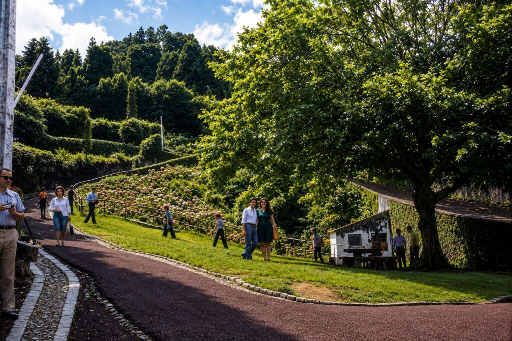 Passeio ensolarado entre flores e jardins lushes