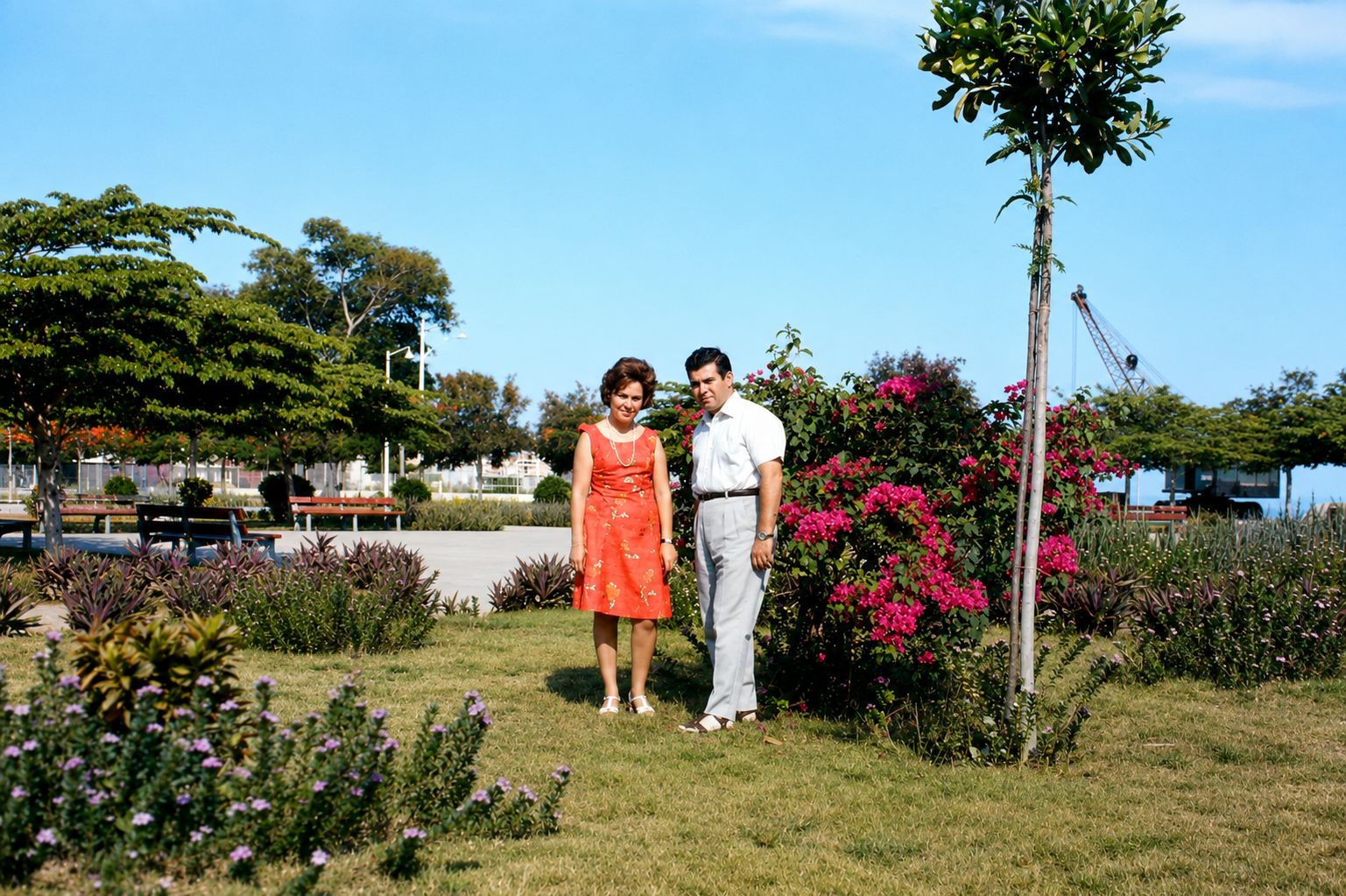 Casal no jardim ensolarado