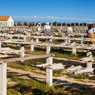 Secadouro Tradicional de Peixe ao Sol
